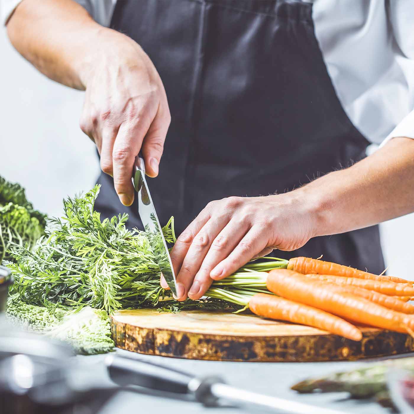 Kammerjäger für Gastronomie