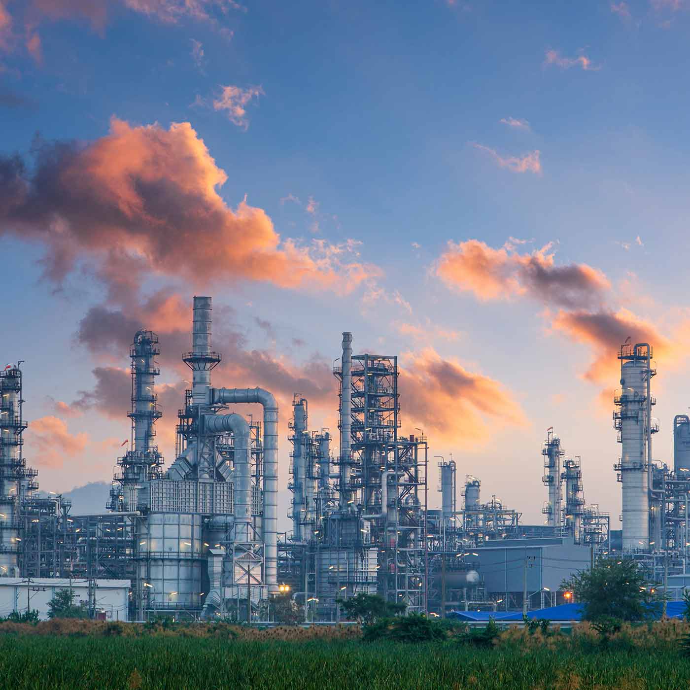 Kammerjäger für die Industrie
