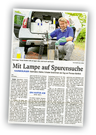 Schädlingsbekämpfung Mainz: Mit Lampe auf Spurensuche